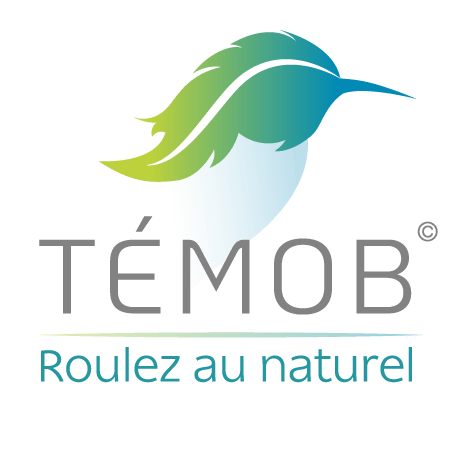 Logo Temob