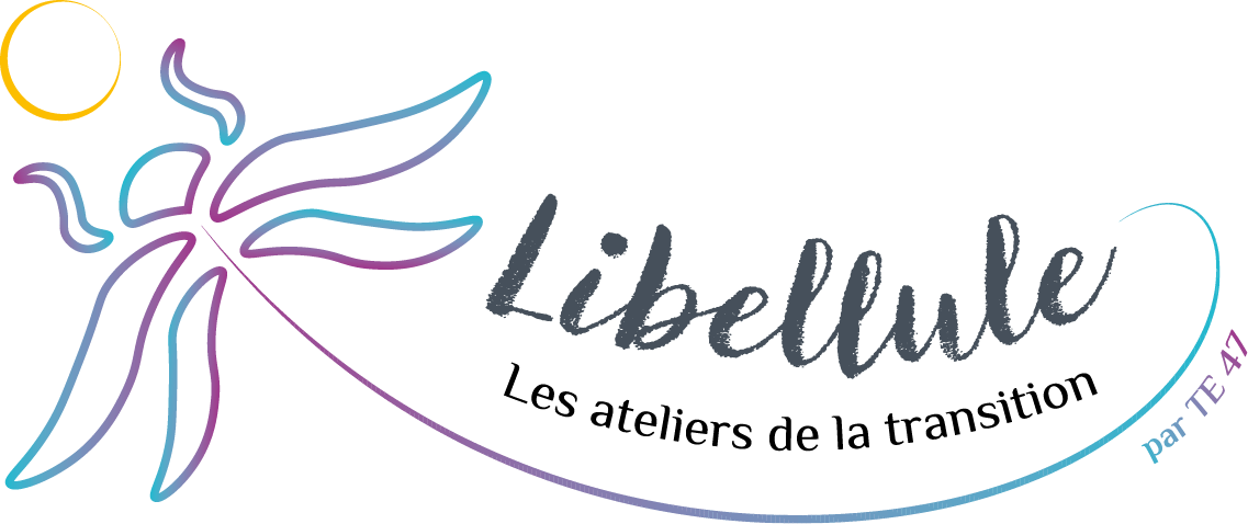 Logo Libellule